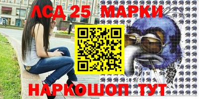 2c-b Новозыбков