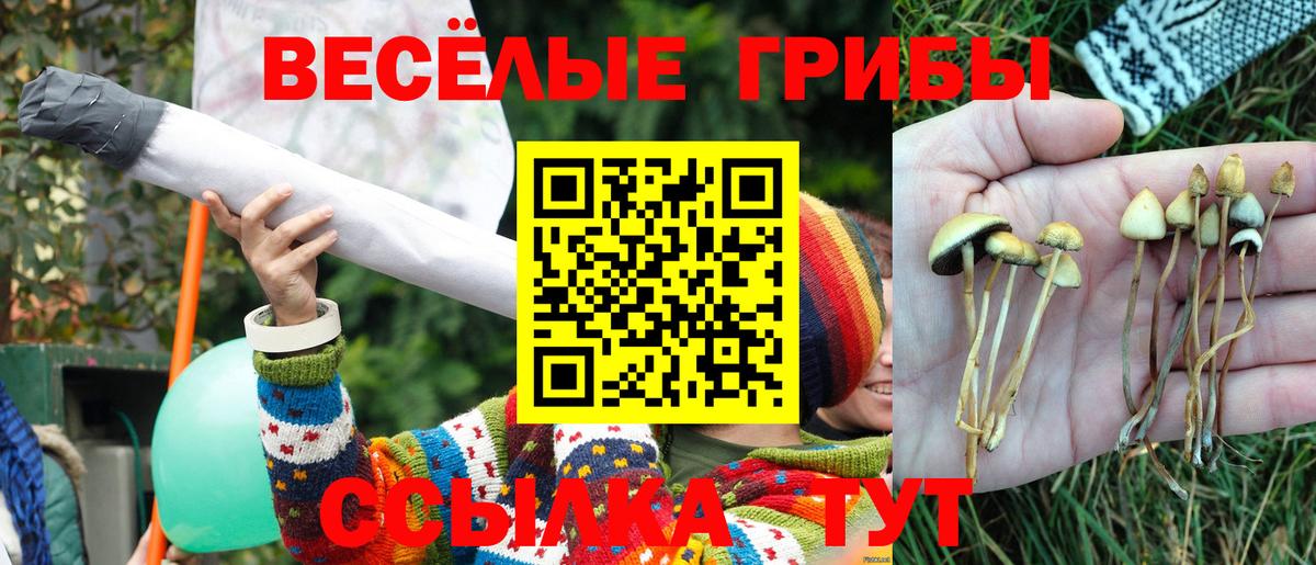 Мефедрон  Севастополь  Каннабис  ЭКСТАЗИ  Вход с VPN  Меф   COCAIN  А ПВП СК   МДМА 