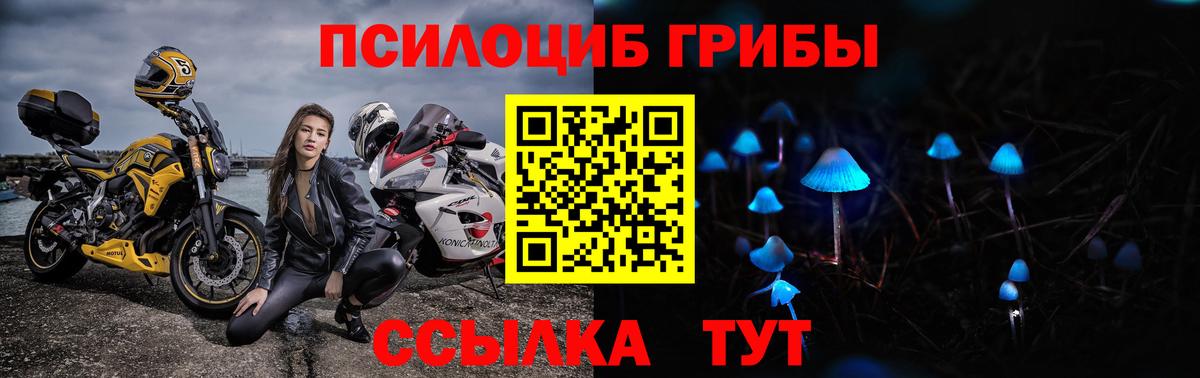 Севастополь  Галлюциногенные грибы прущие грибы  Вход с VPN  Псилоцибиновые грибы ЛСД 